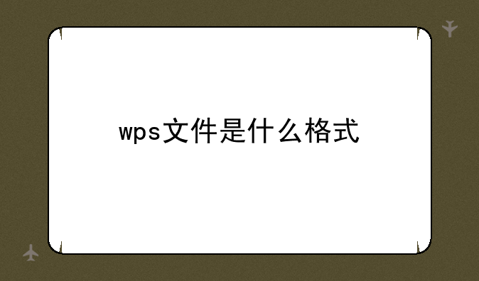 wps文件是什么格式