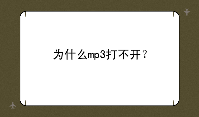 为什么mp3打不开?