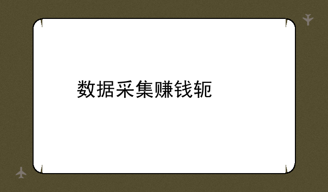 数据采集赚钱软件