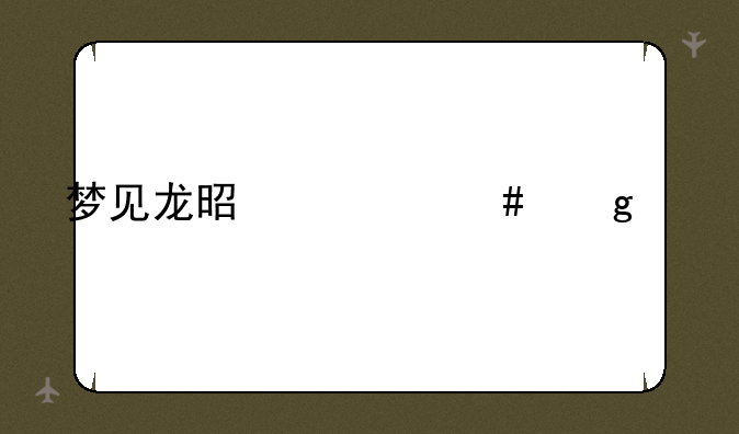 梦见龙是什么仙家