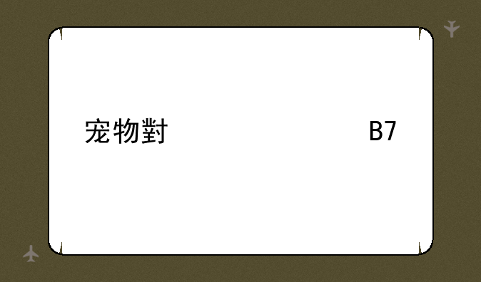 宠物小精灵名字