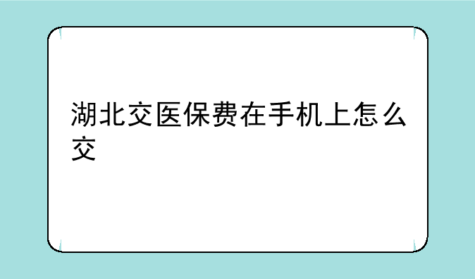湖北交医保费在手机上怎么交