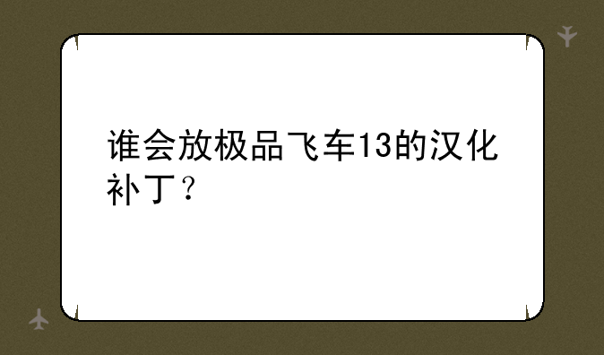 谁会放极品飞车13的汉化补丁？