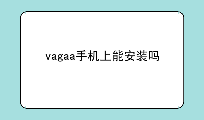 vagaa手机上能安装吗