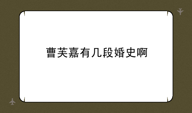 曹芙嘉有几段婚史啊