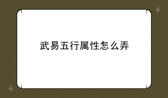 武易五行属性怎么弄