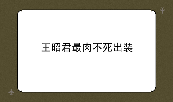 王昭君最肉不死出装