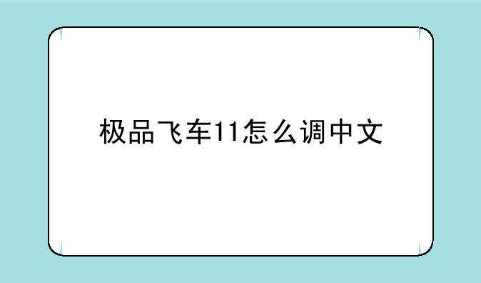 极品飞车11怎么调中文