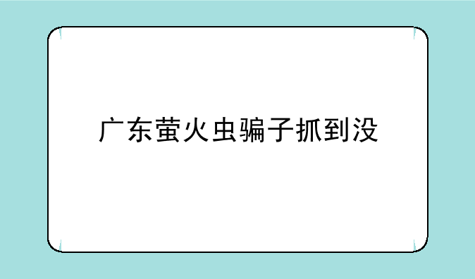 广东萤火虫骗子抓到没