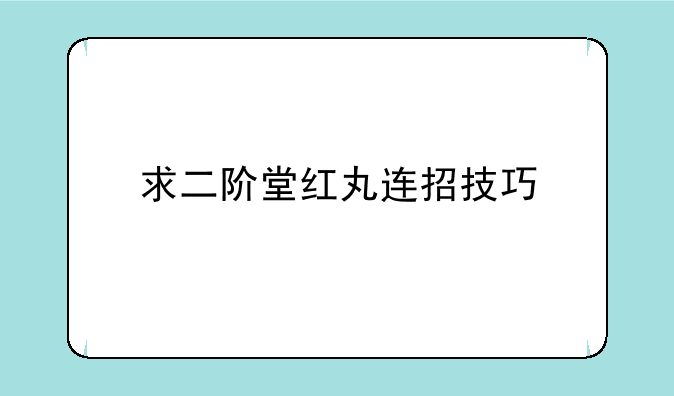 求二阶堂红丸连招技巧