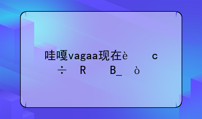 哇嘎vagaa现在还能用吗？