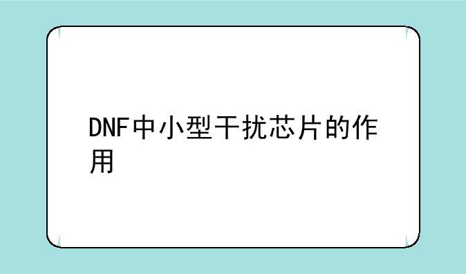 DNF中小型干扰芯片的作用