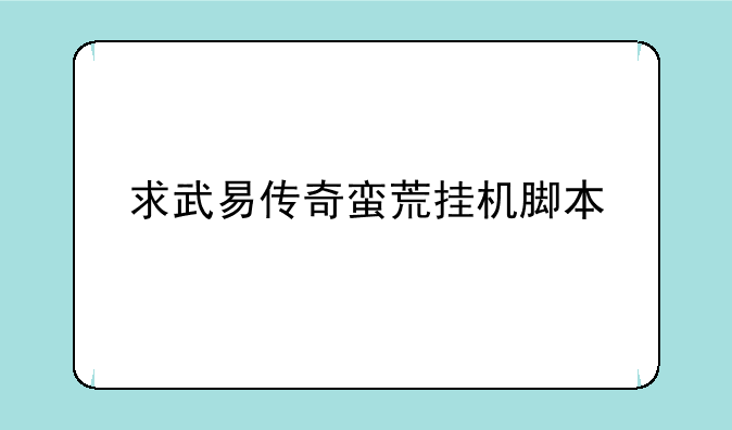 求武易传奇蛮荒挂机脚本