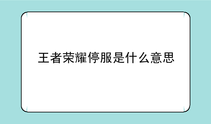 王者荣耀停服是什么意思