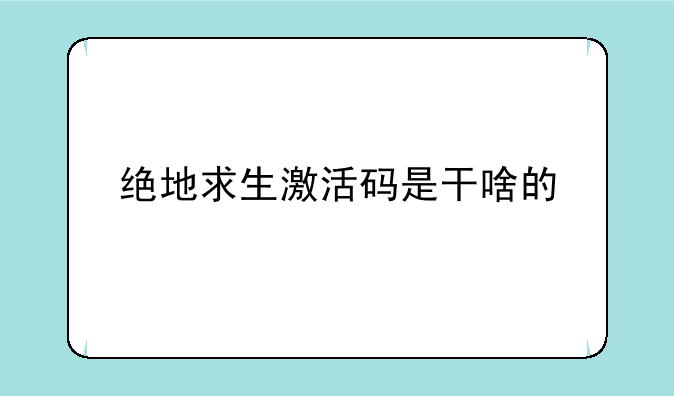 绝地求生激活码是干啥的