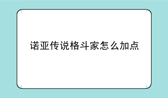 诺亚传说格斗家怎么加点