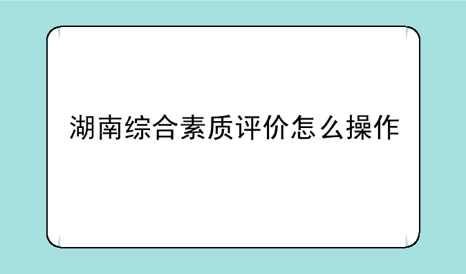 湖南综合素质评价怎么操作