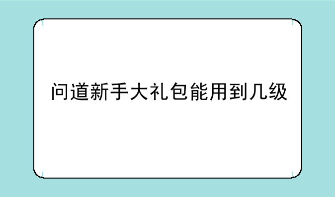 问道新手大礼包能用到几级