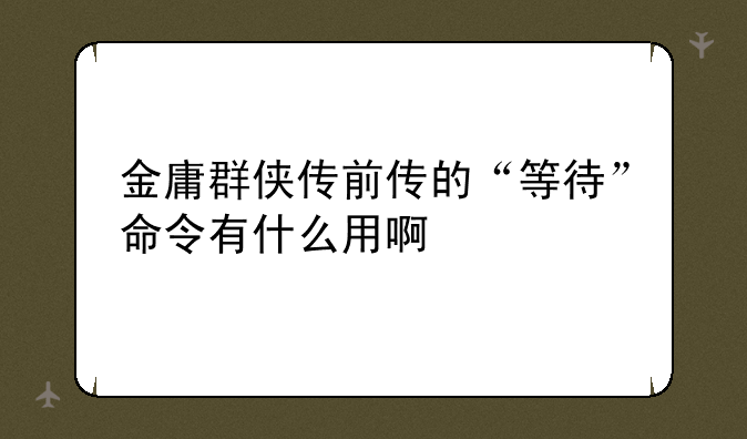 金庸群侠传前传的“等待”命令有什么用啊