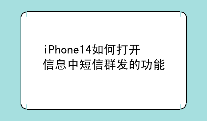 iPhone14如何打开信息中短信群发的功能