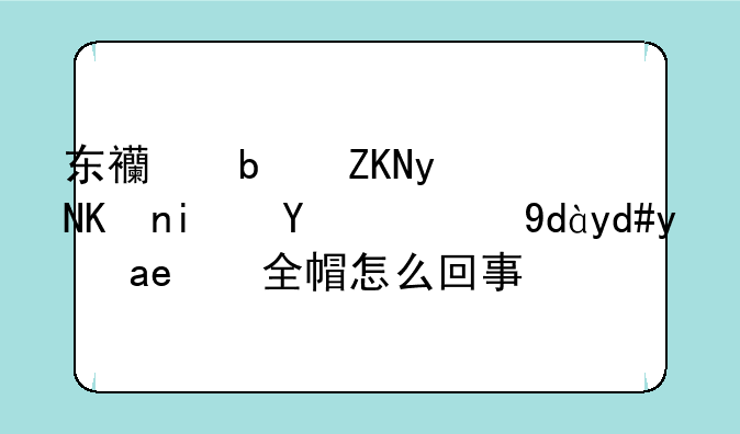 东西是头盔但是盒的品名是安全帽怎么回事？