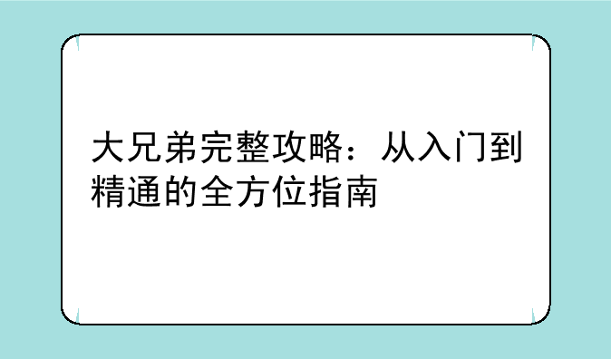 大兄弟完整攻略:从入门到精通的全方位指南