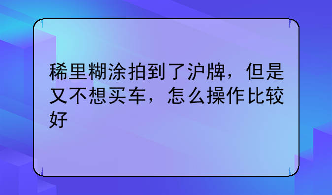 稀里糊涂拍到了沪牌,但是又不想买车,怎么操作比较好