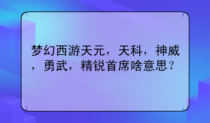 梦幻西游天元,天科,神威,勇武,精锐首席啥意思?